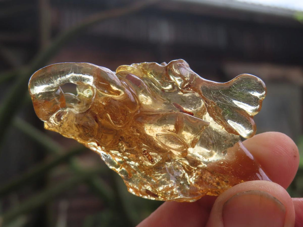 Natural Large Copal Amber Specimen x 1 From Nosy Varika, Madagascar