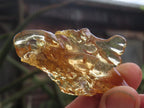 Natural Large Copal Amber Specimen x 1 From Nosy Varika, Madagascar