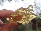 Natural Large Copal Amber Specimen x 1 From Nosy Varika, Madagascar