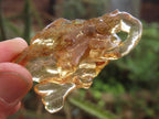 Natural Large Copal Amber Specimen x 1 From Nosy Varika, Madagascar