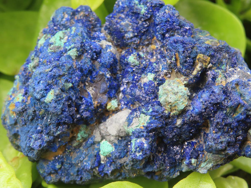 Natural Rare Azurite and Malachite Specimen x 1 From Jakka Mine, Congo