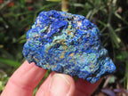 Natural Rare Azurite and Malachite Specimen x 1 From Jakka Mine, Congo