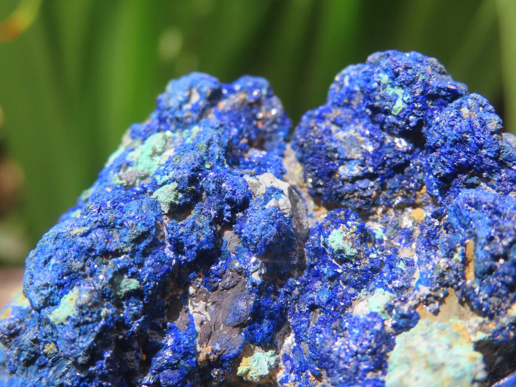 Natural Rare Azurite and Malachite Specimen x 1 From Jakka Mine, Congo