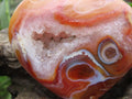 Polished Carnelian Gemstone Heart x 1 From Madagascar