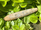Natural Large Belemnite Fossil x 1 From Maintirano, Madagascar