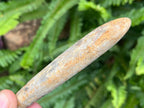 Natural Large Belemnite Fossil x 1 From Maintirano, Madagascar