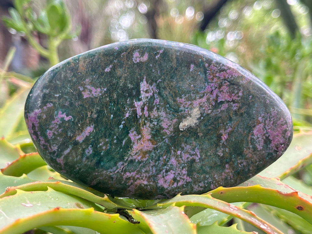 Polished Verdite with Fluorescent Ruby Corundum Free Form x 1 From Zimbabwe