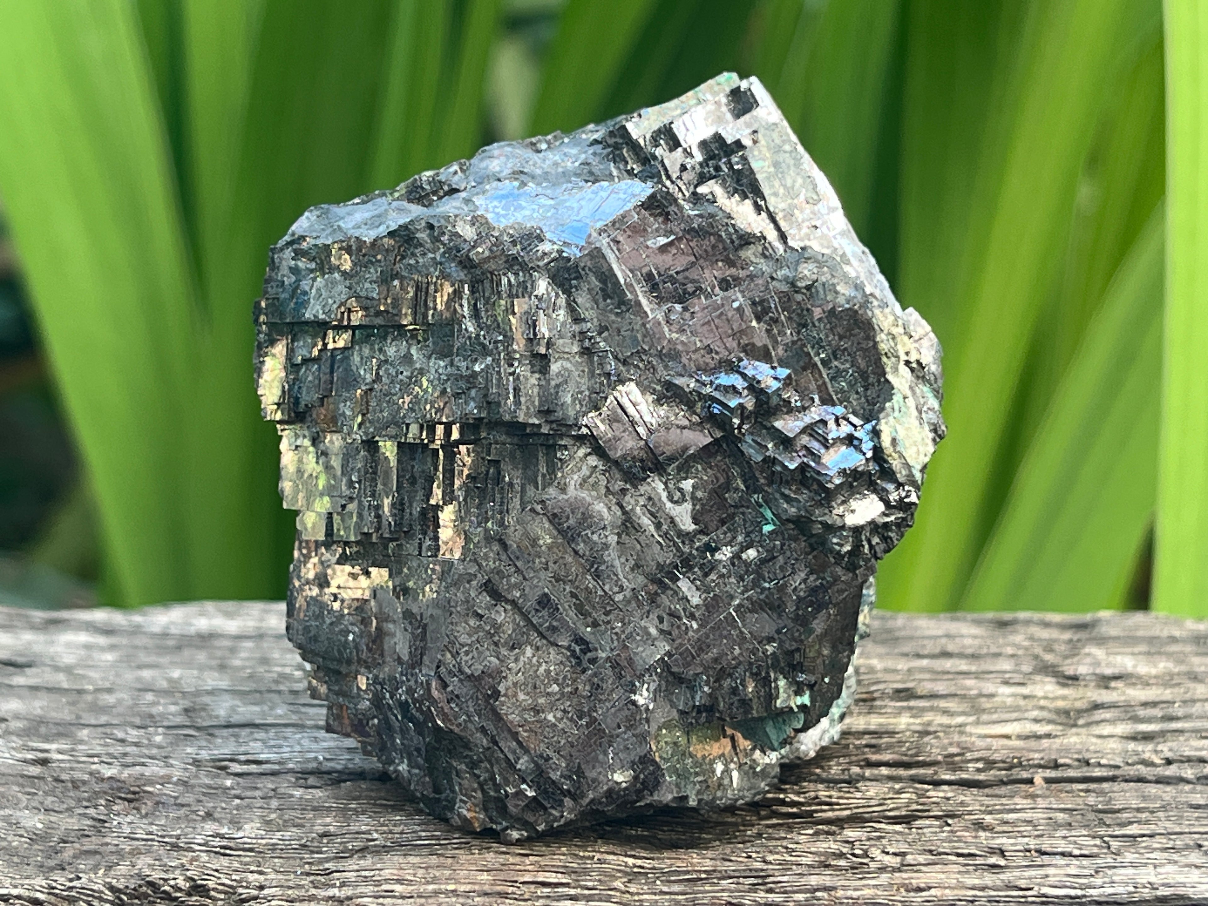 Natural Lead Galena with Azurite and Malachite Specimen x 1 From Koakoveld, Namibia