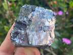 Natural Lead Galena with Azurite and Malachite Specimen x 1 From Koakoveld, Namibia