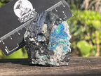 Natural Lead Galena with Azurite and Malachite Specimen x 1 From Koakoveld, Namibia