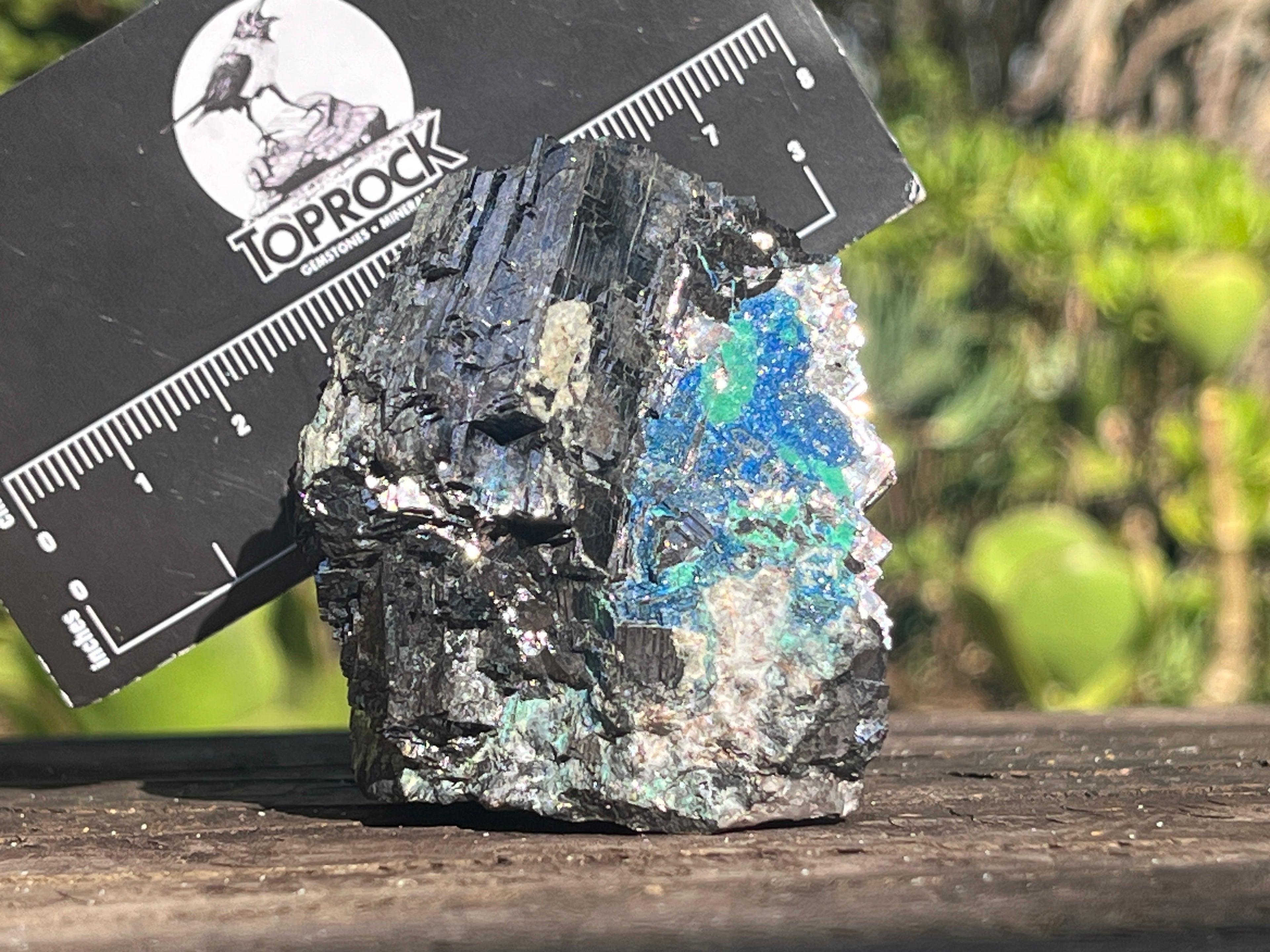 Natural Lead Galena with Azurite and Malachite Specimen x 1 From Koakoveld, Namibia