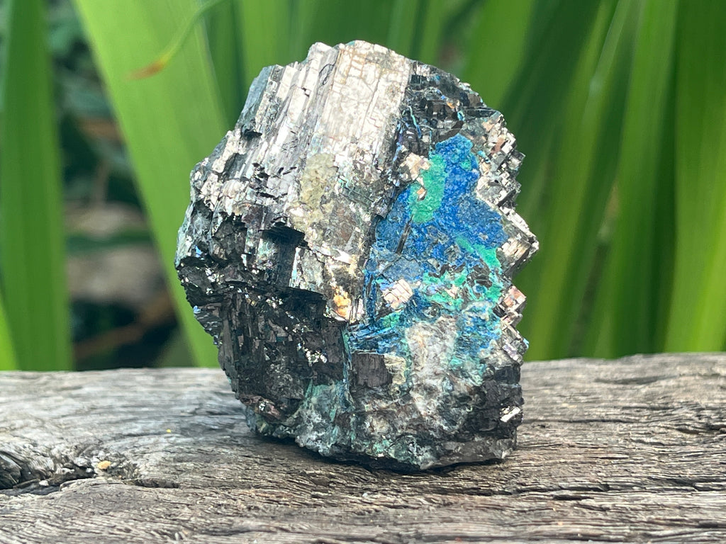 Natural Lead Galena with Azurite and Malachite Specimen x 1 From Koakoveld, Namibia