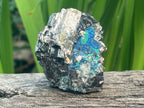 Natural Lead Galena with Azurite and Malachite Specimen x 1 From Koakoveld, Namibia