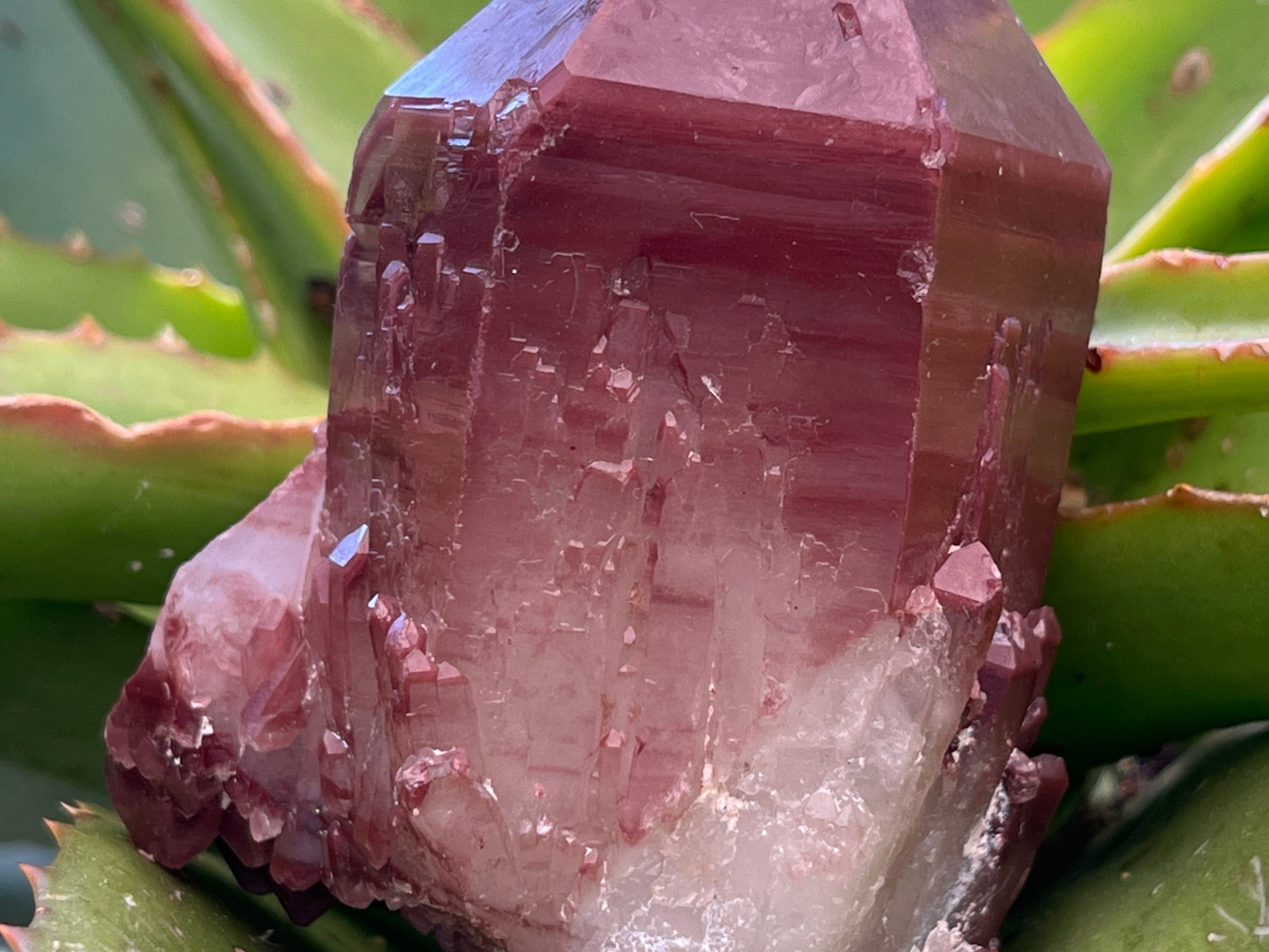 Natural Double Terminated Red Hematoid Quartz "Collar" Crystal x 1 From Karoi, Zimbabwe