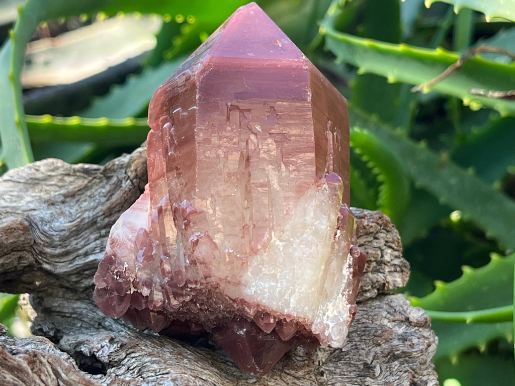 Natural Double Terminated Red Hematoid Quartz "Collar" Crystal x 1 From Karoi, Zimbabwe