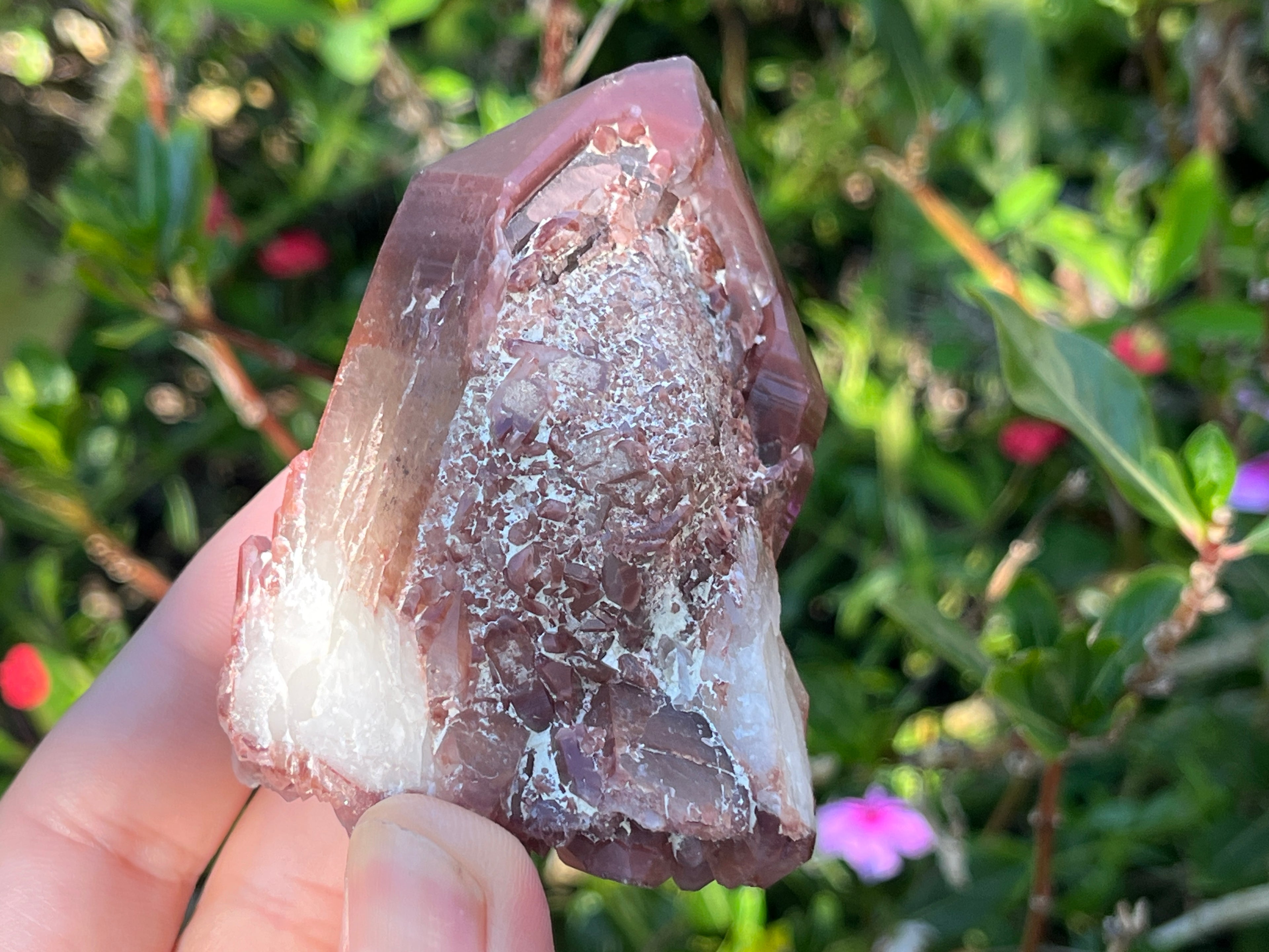 Natural Double Terminated Red Hematoid Quartz "Collar" Crystal x 1 From Karoi, Zimbabwe