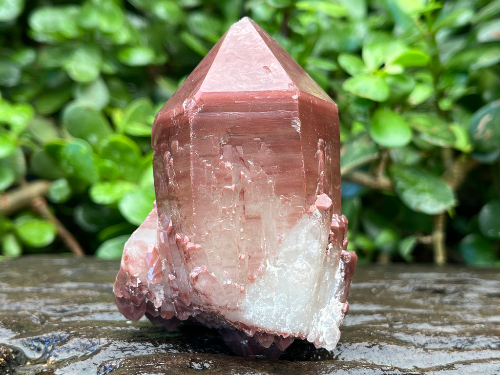 Natural Double Terminated Red Hematoid Quartz "Collar" Crystal x 1 From Karoi, Zimbabwe