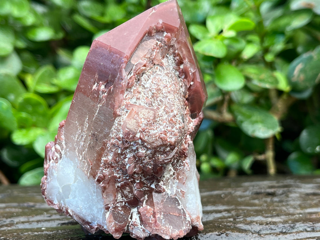 Natural Double Terminated Red Hematoid Quartz "Collar" Crystal x 1 From Karoi, Zimbabwe