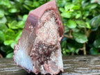 Natural Double Terminated Red Hematoid Quartz "Collar" Crystal x 1 From Karoi, Zimbabwe