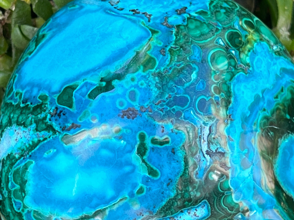 Polished Malacolla Free Form x 1 From Kulukuluku, Congo