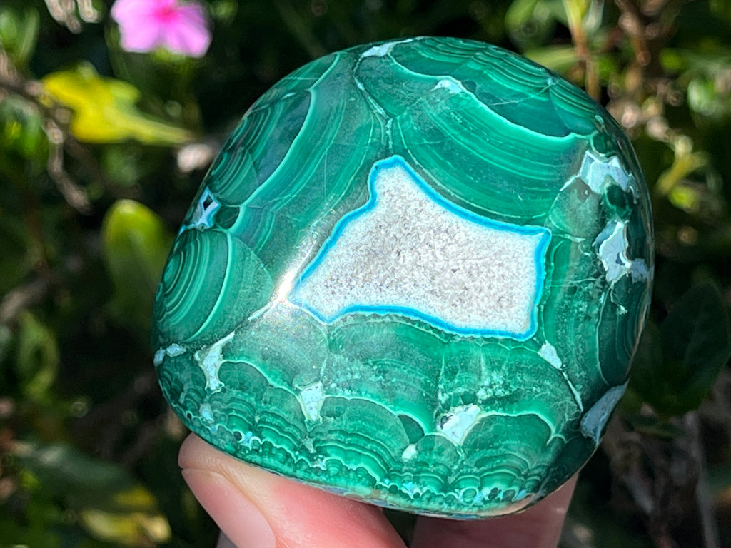 Polished Malacolla Free Form x 1 From Kulukuluku, Congo