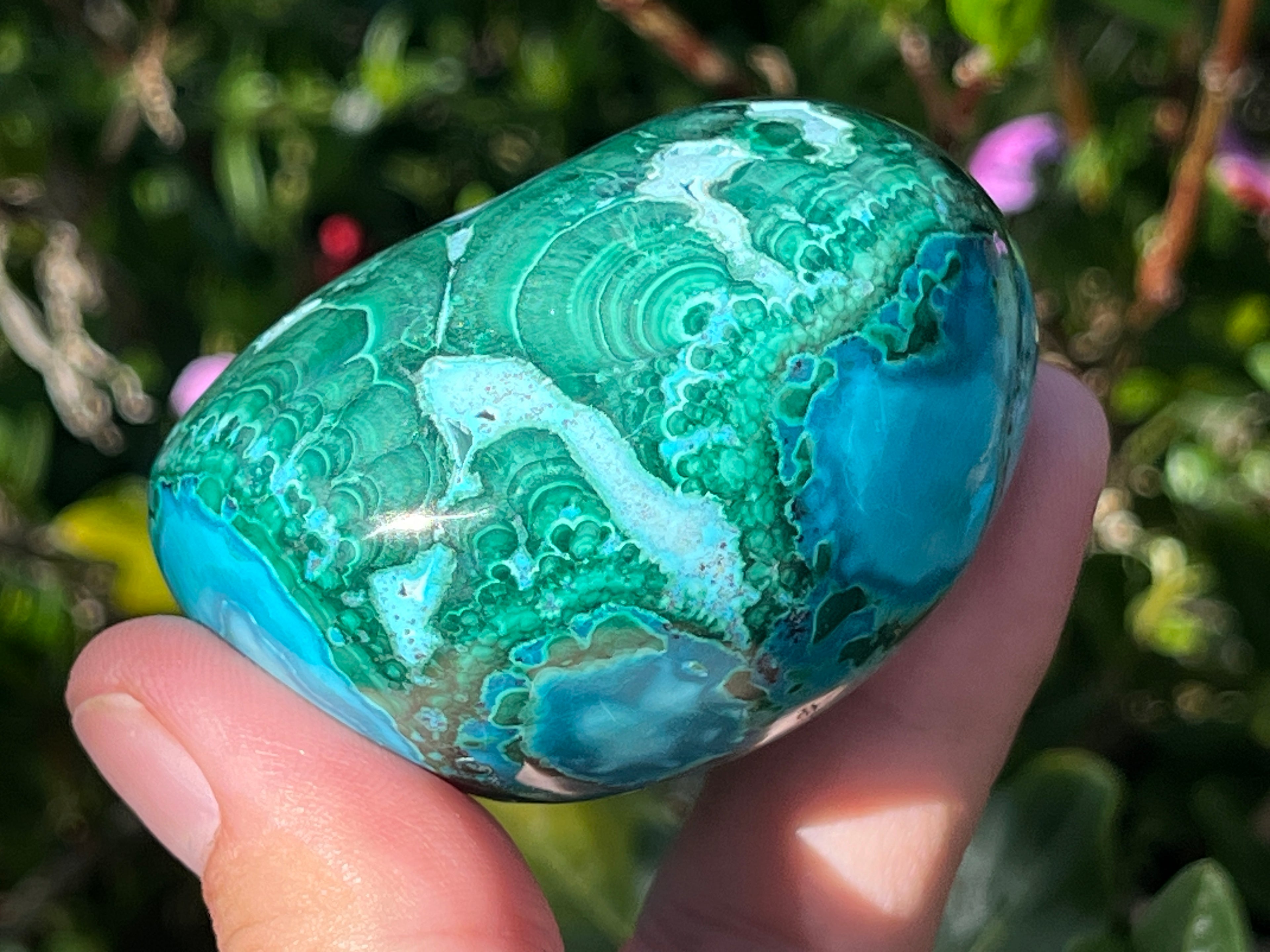 Polished Malacolla Free Form x 1 From Kulukuluku, Congo