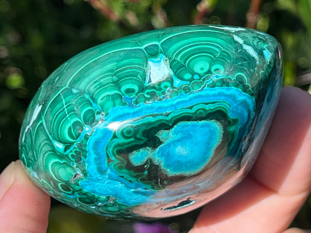 Polished Malacolla Free Form x 1 From Kulukuluku, Congo