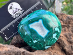 Polished Malacolla Free Form x 1 From Kulukuluku, Congo