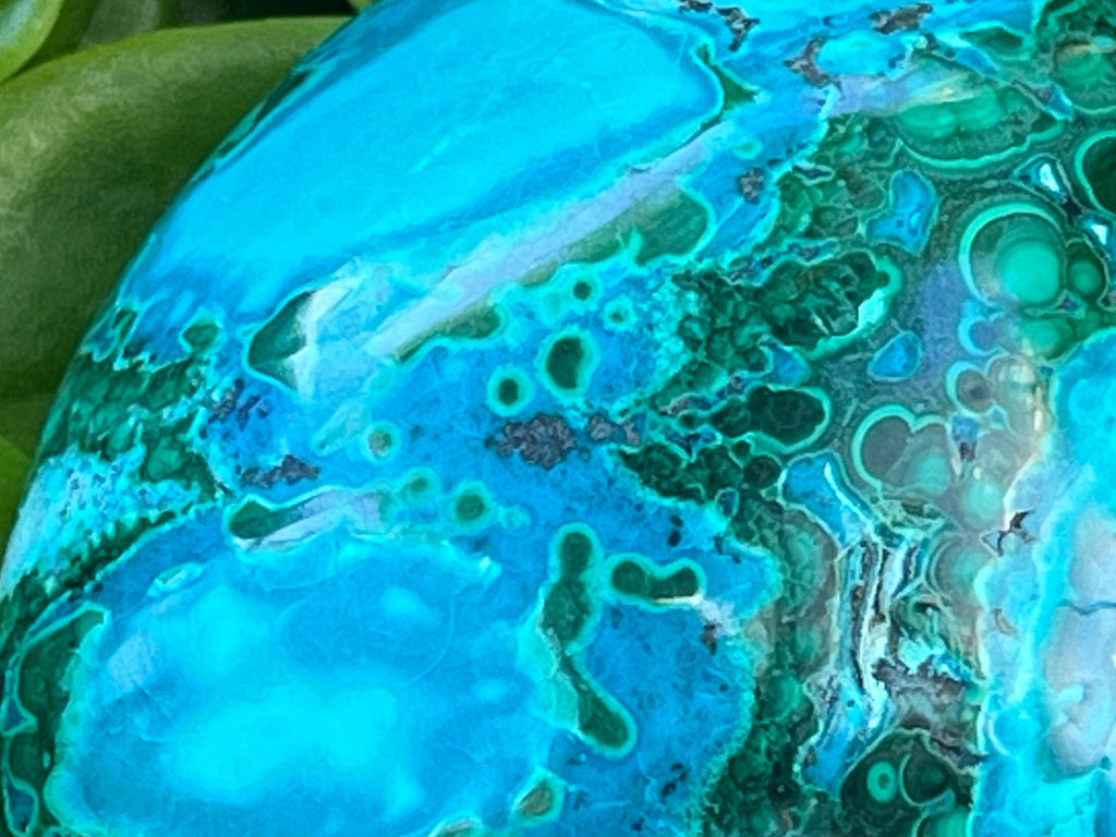 Polished Malacolla Free Form x 1 From Kulukuluku, Congo