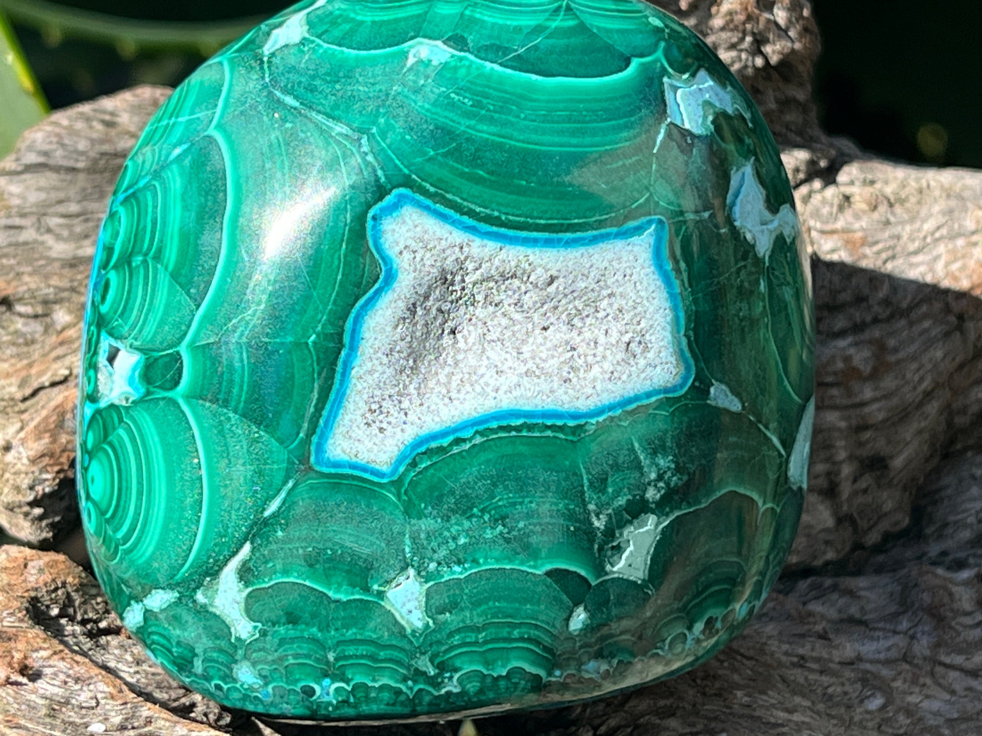 Polished Malacolla Free Form x 1 From Kulukuluku, Congo