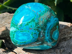 Polished Malacolla Free Form x 1 From Kulukuluku, Congo