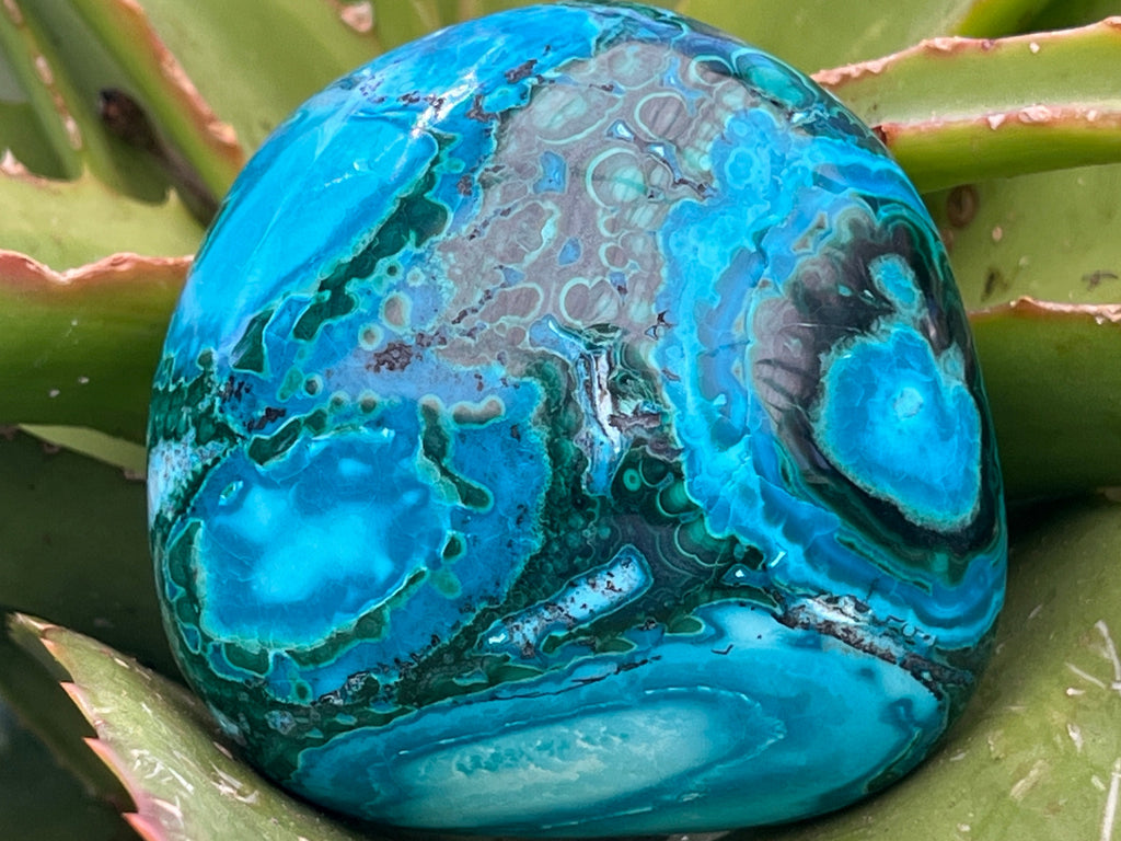 Polished Malacolla Free Form x 1 From Kulukuluku, Congo