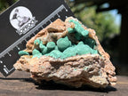 Natural Botryoidal Ball Malachite with Quartz on Dolomite Specimen x 1 From Mindingi Mine, Congo