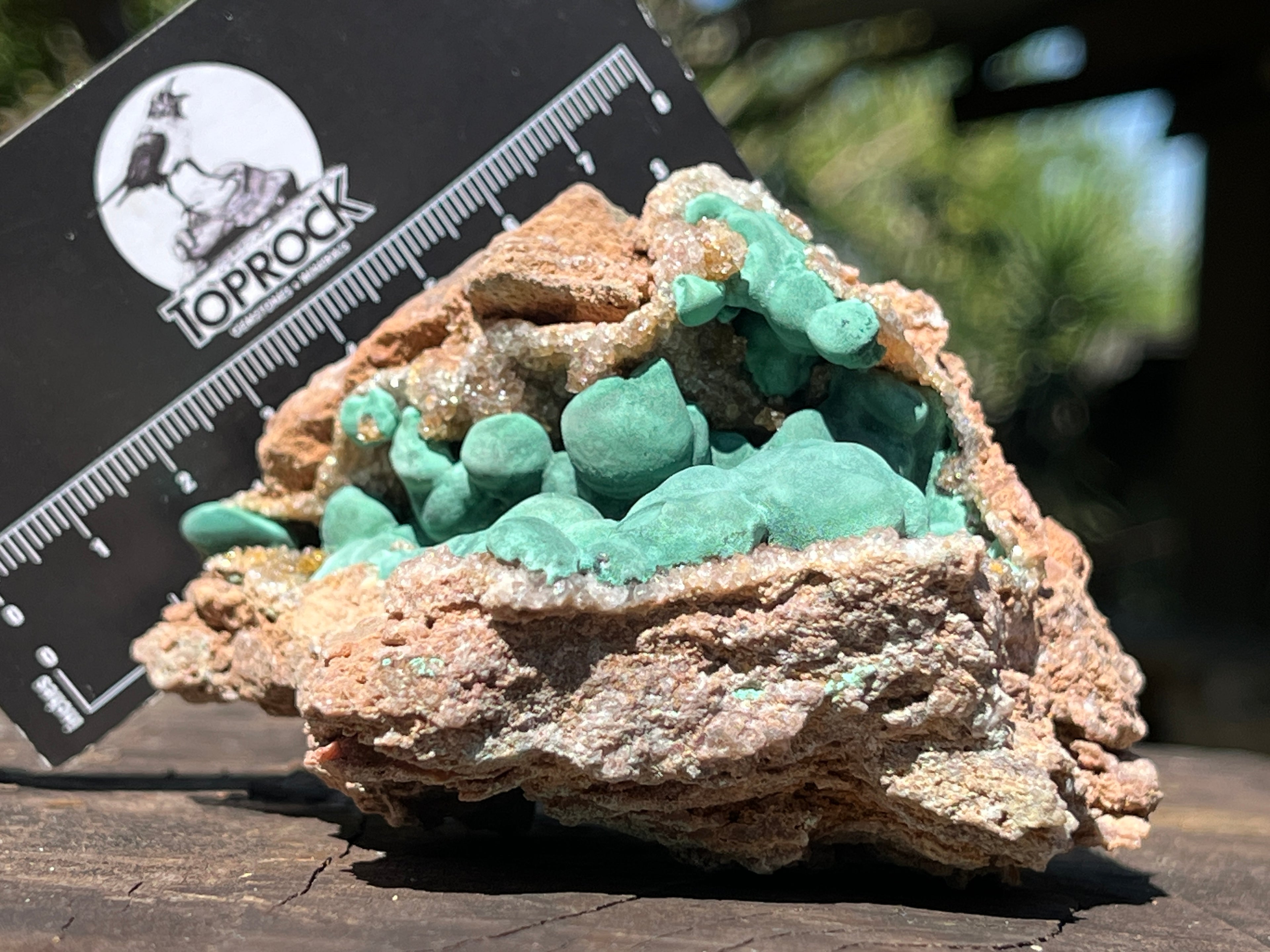 Natural Botryoidal Ball Malachite with Quartz on Dolomite Specimen x 1 From Mindingi Mine, Congo