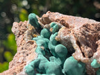 Natural Botryoidal Ball Malachite with Quartz on Dolomite Specimen x 1 From Mindingi Mine, Congo