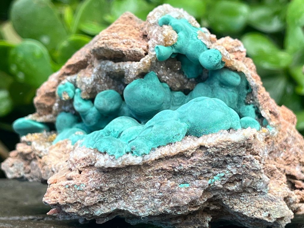 Natural Botryoidal Ball Malachite with Quartz on Dolomite Specimen x 1 From Mindingi Mine, Congo