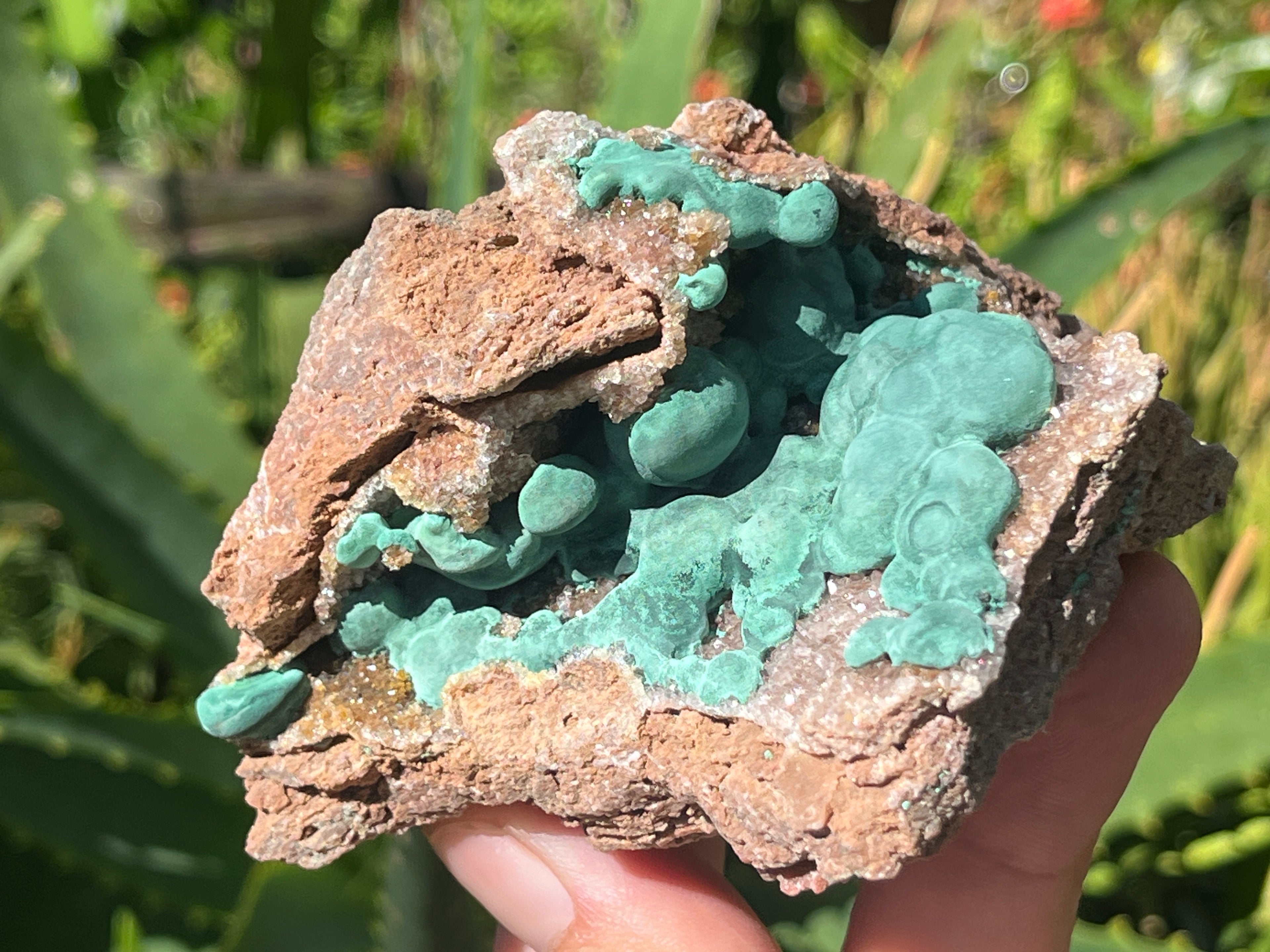 Natural Botryoidal Ball Malachite with Quartz on Dolomite Specimen x 1 From Mindingi Mine, Congo