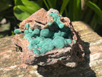 Natural Botryoidal Ball Malachite with Quartz on Dolomite Specimen x 1 From Mindingi Mine, Congo