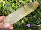 Polished Rare Citrine Crystal x 1 From Madagascar