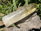 Polished Rare Citrine Crystal x 1 From Madagascar
