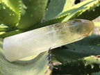 Polished Rare Citrine Crystal x 1 From Madagascar