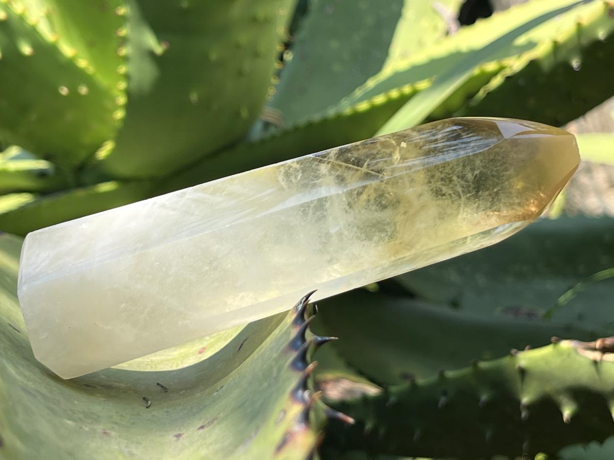 Polished Rare Citrine Crystal x 1 From Madagascar