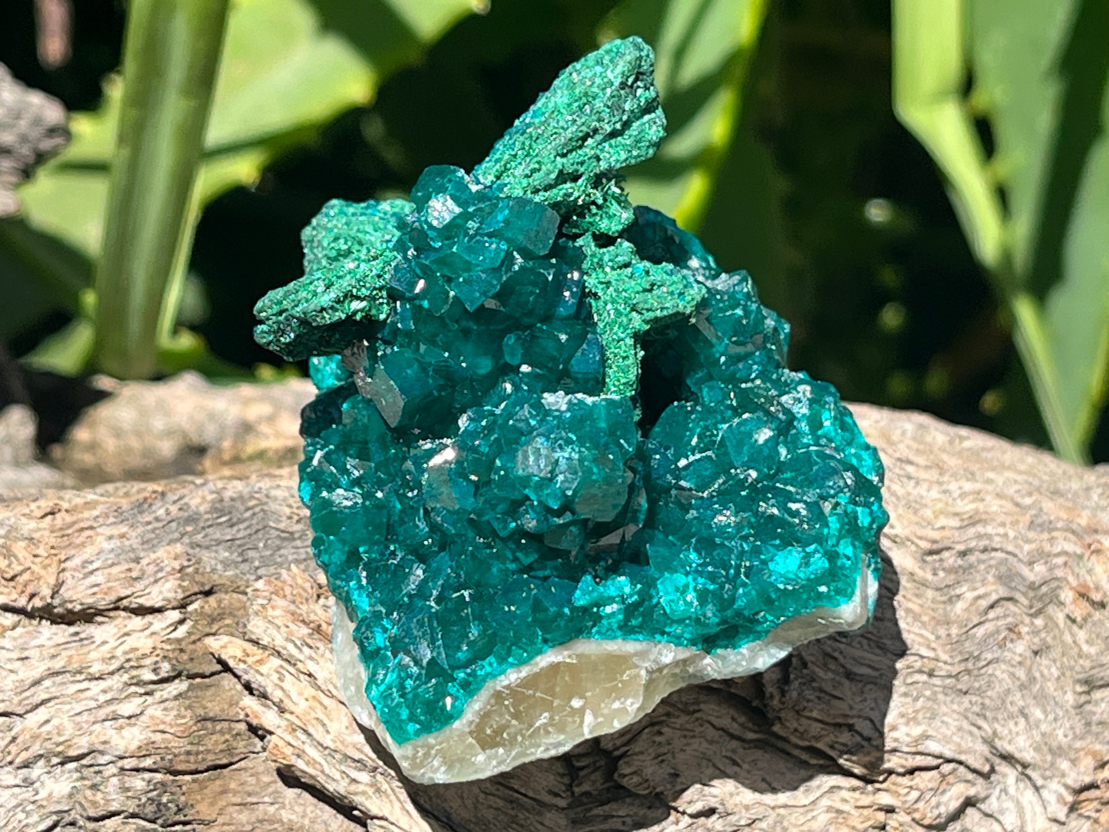 Natural Rare Dioptase with Malachite Pseudomorph Cross Specimen x 1 From Likasi, Congo