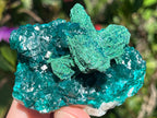 Natural Rare Dioptase with Malachite Pseudomorph Cross Specimen x 1 From Likasi, Congo