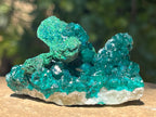 Natural Rare Dioptase with Malachite Pseudomorph Cross Specimen x 1 From Likasi, Congo