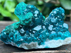 Natural Rare Dioptase with Malachite Pseudomorph Cross Specimen x 1 From Likasi, Congo
