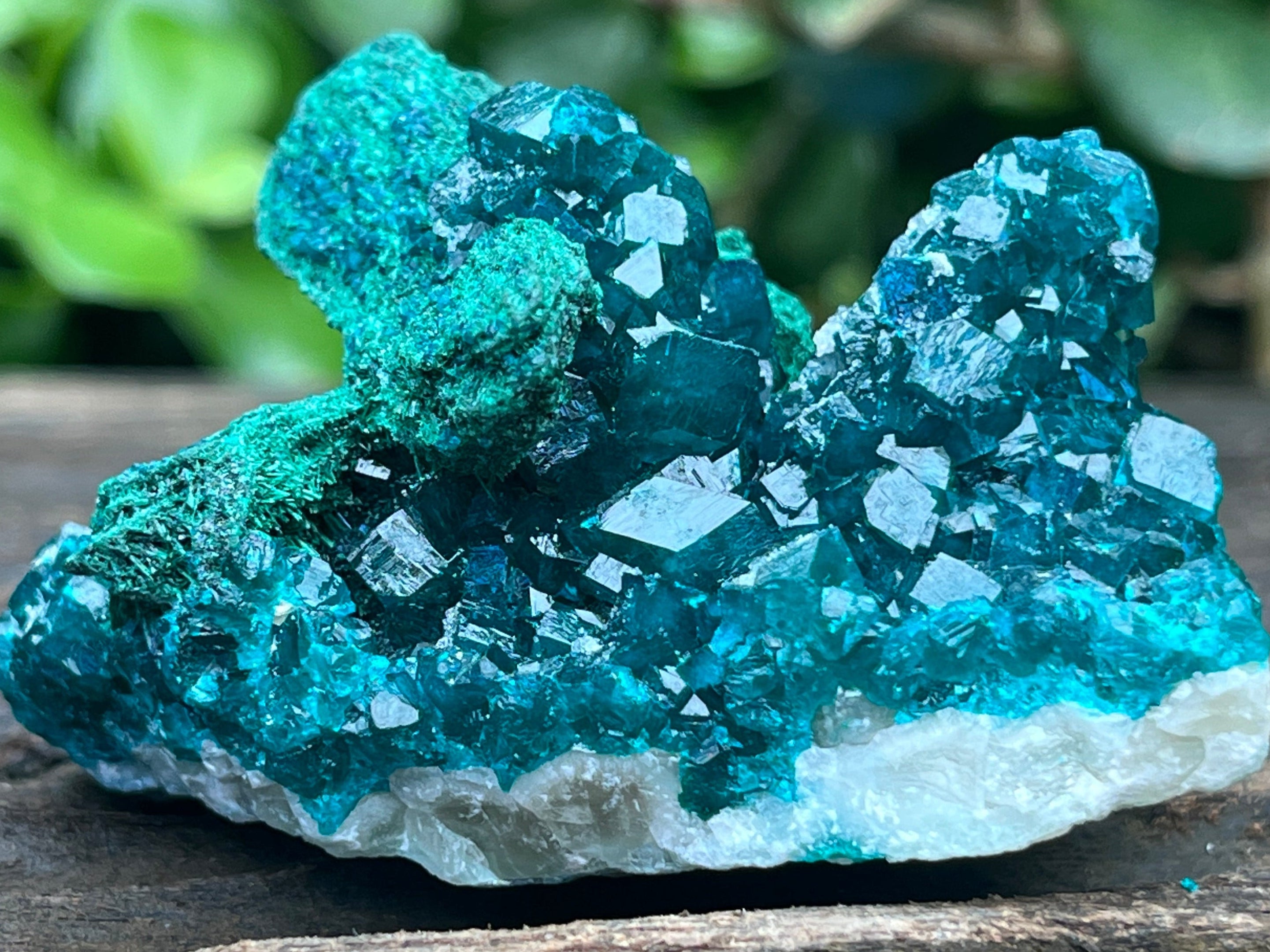 Natural Rare Dioptase with Malachite Pseudomorph Cross Specimen x 1 From Likasi, Congo