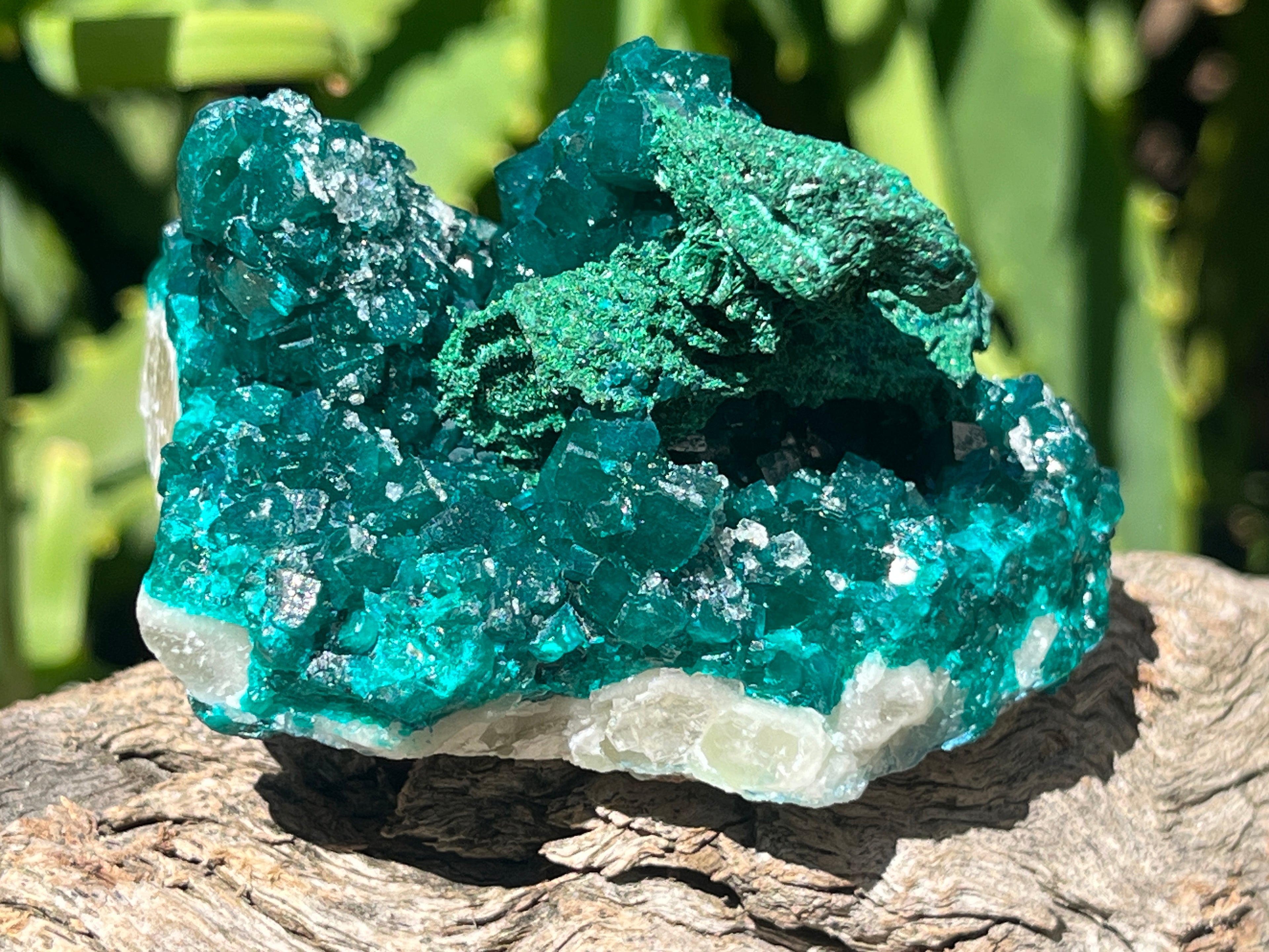 Natural Rare Dioptase with Malachite Pseudomorph Cross Specimen x 1 From Likasi, Congo