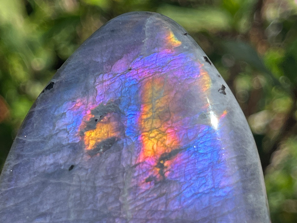 Polished Rare Purple Labradorite Standing Free Form x 1 From Tulear, Madagascar