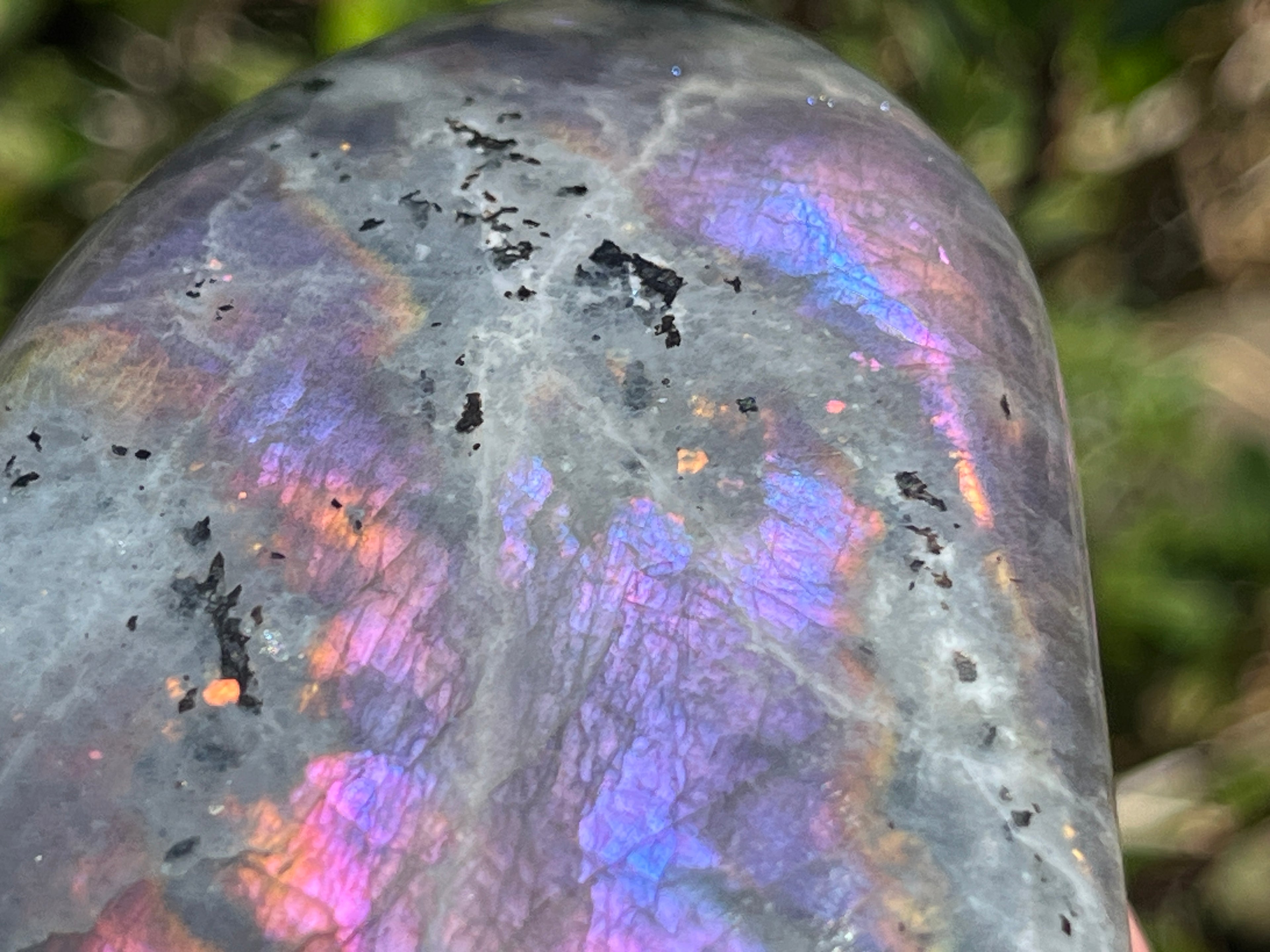 Polished Rare Purple Labradorite Standing Free Form x 1 From Tulear, Madagascar